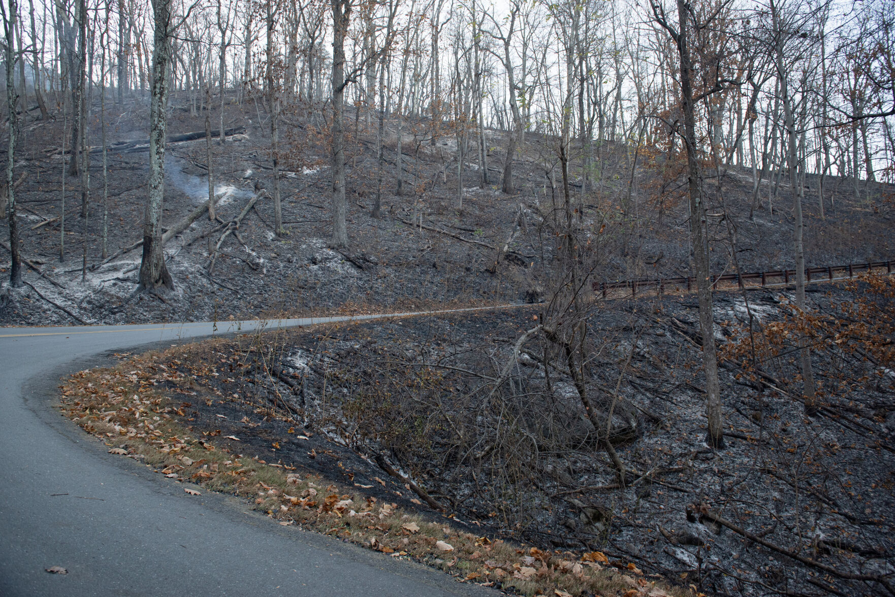 Pilot Mountain Fire Damage